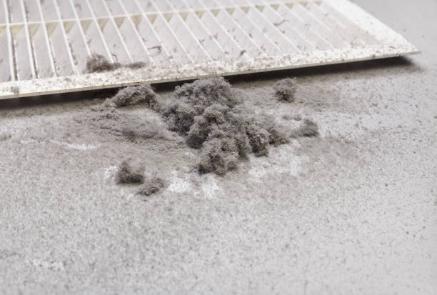 Best Ventilation Cleaning Services  in Milton, NY