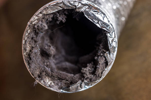 Best Affordable HVAC Duct Cleaning  in Milton, NY